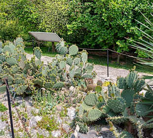 Umgebung + Botanischer Garten Baltschik + Schloss