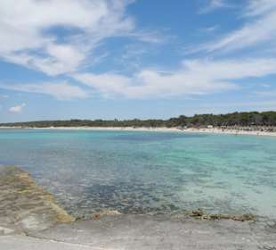 Dort beginnt Es Trenc