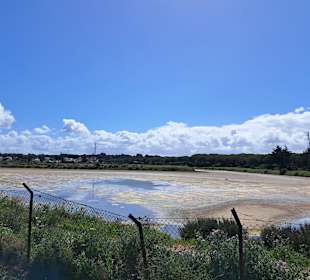 Salina Santa Teresa in Chiclana de la Frontera
