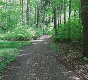 Rundwanderweg - Ottos Ruh