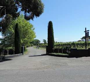 Einfahrt Weingut
