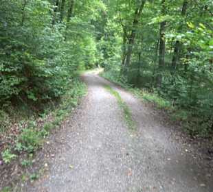 Altwege Rundwanderung Bebenhausen