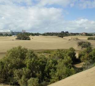 Auf den Dünen in Maspalomas