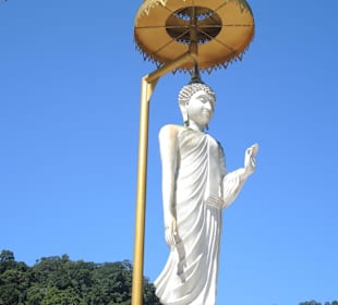 Buddha vor dem Wasserfall