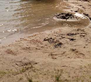 Märkisches Seecamp in Tauche