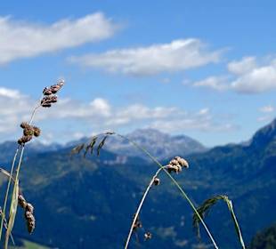 Natur Grafenberg