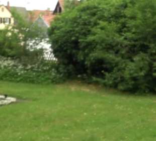 Friedhof Derendingen