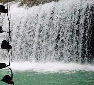 Mayfield Falls Jamaika 2012