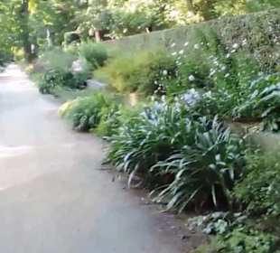 Real Jardín Botánico de Madrid