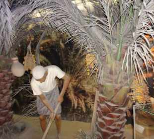 Stadtrundfahrt Dubai