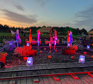 Herbstlichter Brückenkopfpark