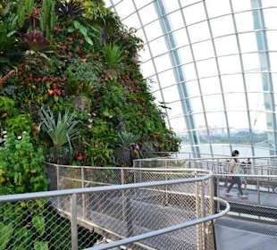 Gardens by the Bay