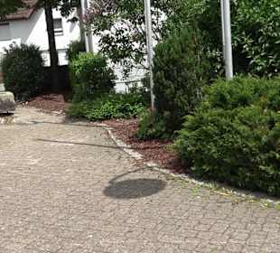 Ochsenskulptur Oberiflingen