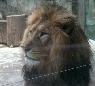 Zoo Olomouc