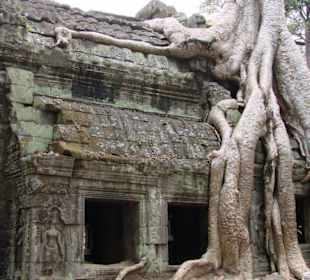 Ta Prohm Tempel