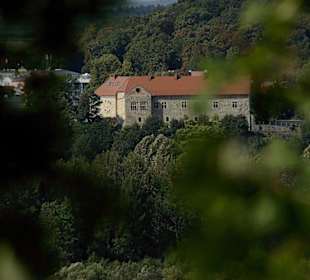 Widok z Orlich Skałek na zamek królewski w Sanoku