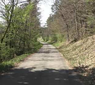 Waldlehrpfad an der Lauter