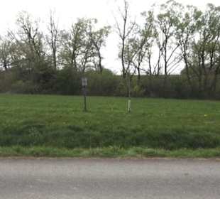 Lehrpfad Bäume des Jahres