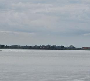 Naturschutzgebiet vom Hafen aus
