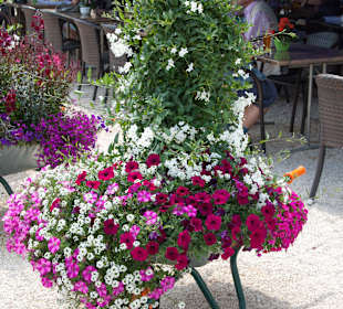 Ein Schubkarren voller schöner Blumen