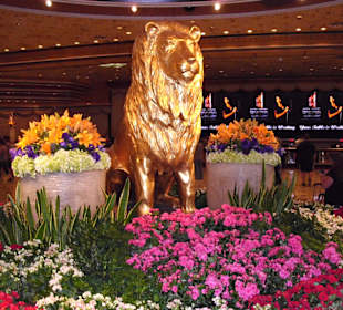 MGM