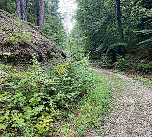 Wandern Kitzelberg St. Kanzian