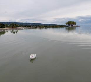 Balaton / Plattensee