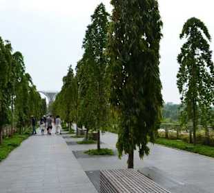 Skypark Marina Bay Sands