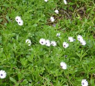 Unterwegs im Ria Formosa Natural Park