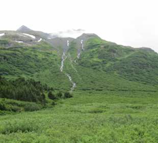 Mit der Train in der Natur Alaskas