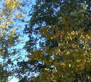 Botanischer Garten