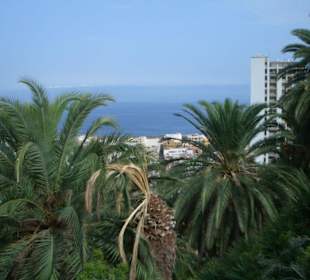 Taoro Park nach Umbau