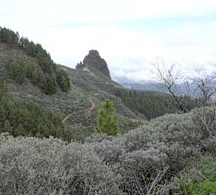 Aussichtspunkt Caldera de los Marteles