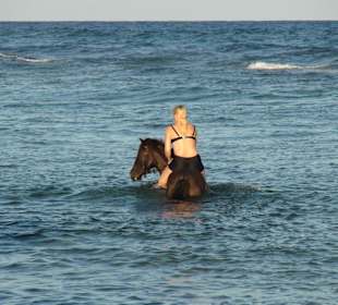 Ausritt Strand