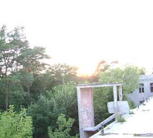 Zakład dla Nerwowo i Psychicznie Chorych Żydów Zofiówka