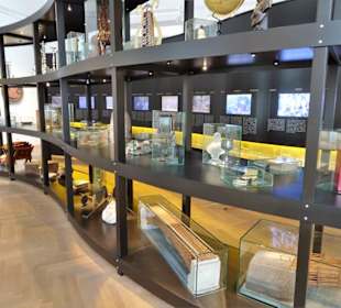 Impressionen aus dem DomQuartier