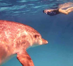 Meine Frau .. Ihr Traum wurde wahr