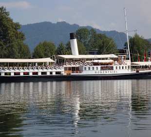 Schaufelraddampfer