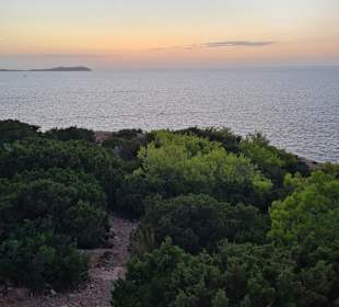 Strand San Antonio/San Antoni de Portmany