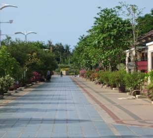 Der Weg zum Terminal