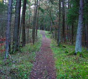 Kletterparadies in Kirchenbirkig