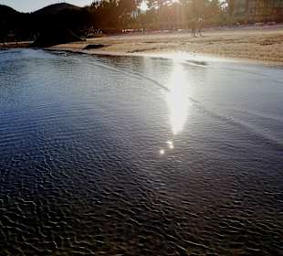 Strand Alcudia