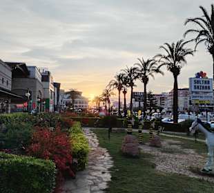 Einkaufen & Shopping