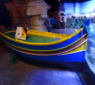 Im Aquarium unterwegs