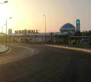 Rückfahrt Dolphintour