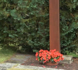 Friedhof Dettingen