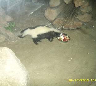 Urokliwe krakowskie ZOO.