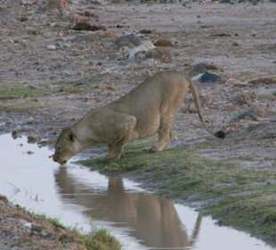 Nach dem Mahl habe ich Durst