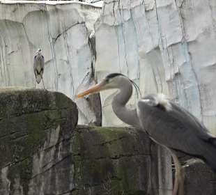 Zoologischer Stadtgarten