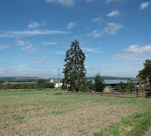 Traumpfad bei Traumwetter
